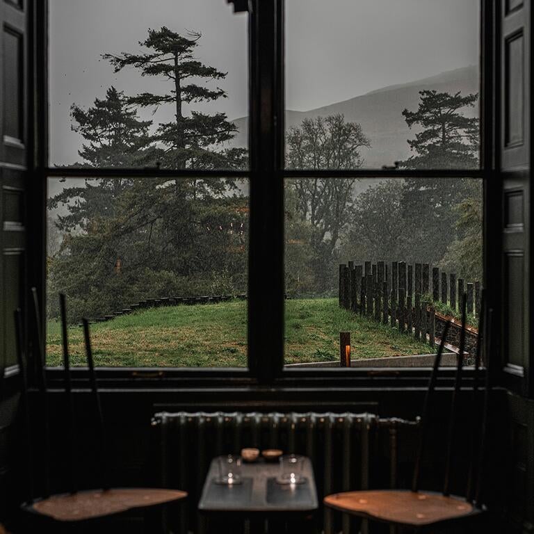 Ynyshir dining room with view to outside.