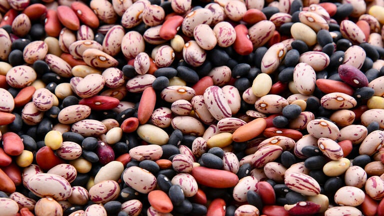 An assortment of different colour beans.