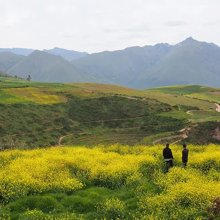 Cusco landscape.