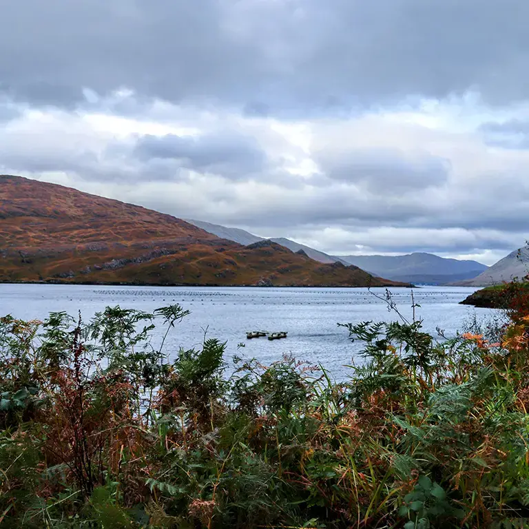 Killary fjord in the west of Ireland.