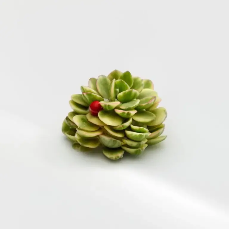 Mugaritz Fortuna, milhojas de abundancia