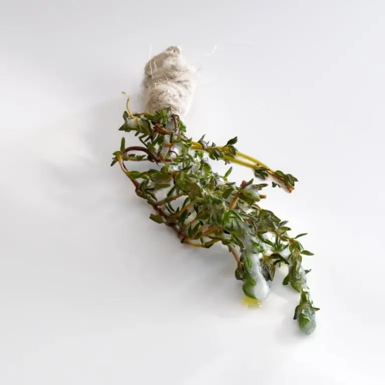 Mugaritz Ramillete, tomillo escarchado
