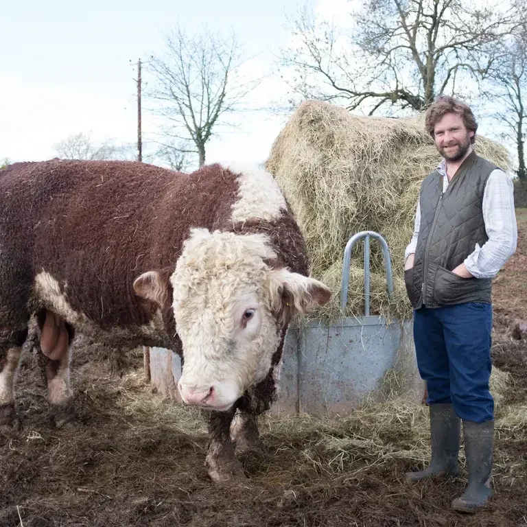 Farmer Tom Jones with a cow.