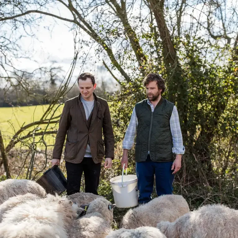Chef James Lowe and farmer Tom Jones tending to sheep.