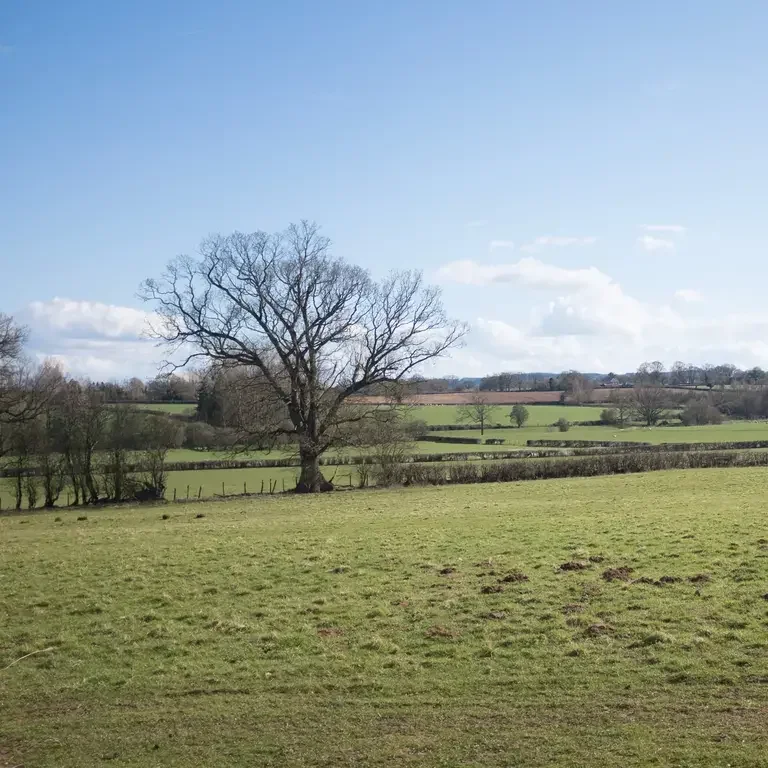 Rural Herefordshire.