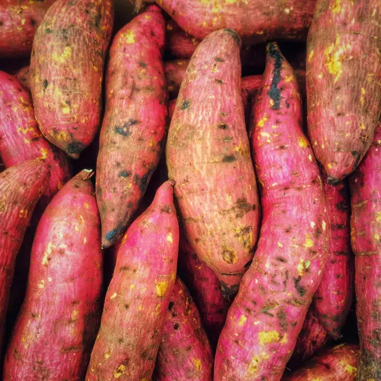 Sweet potatoes with a pink tinge.