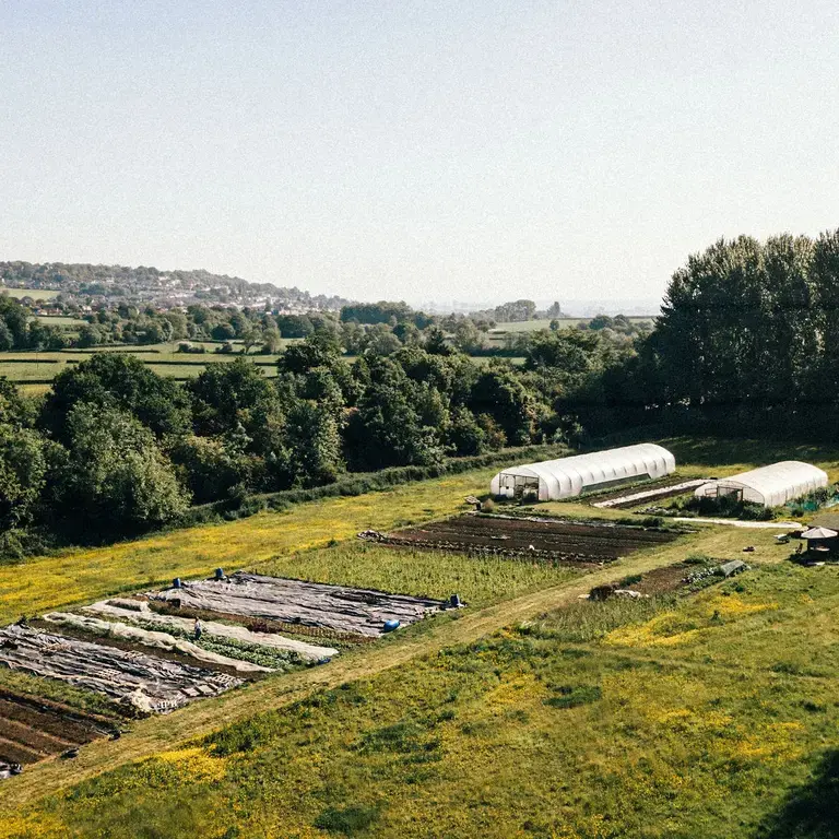 The Wilson's market garden outside Bristol.