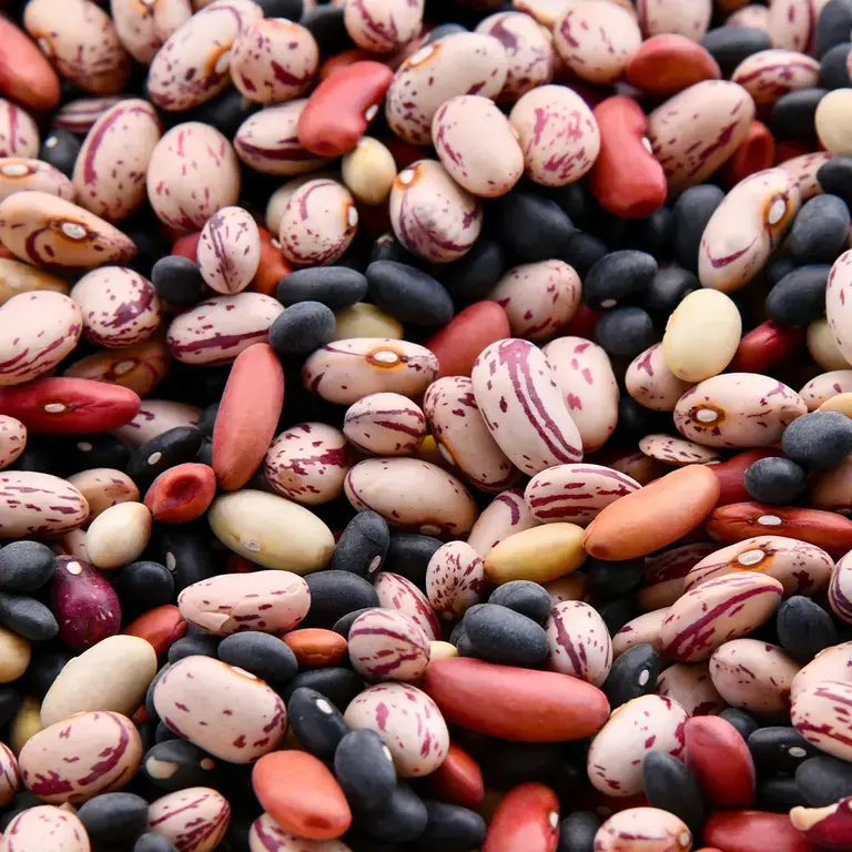 Assorted colourful beans.