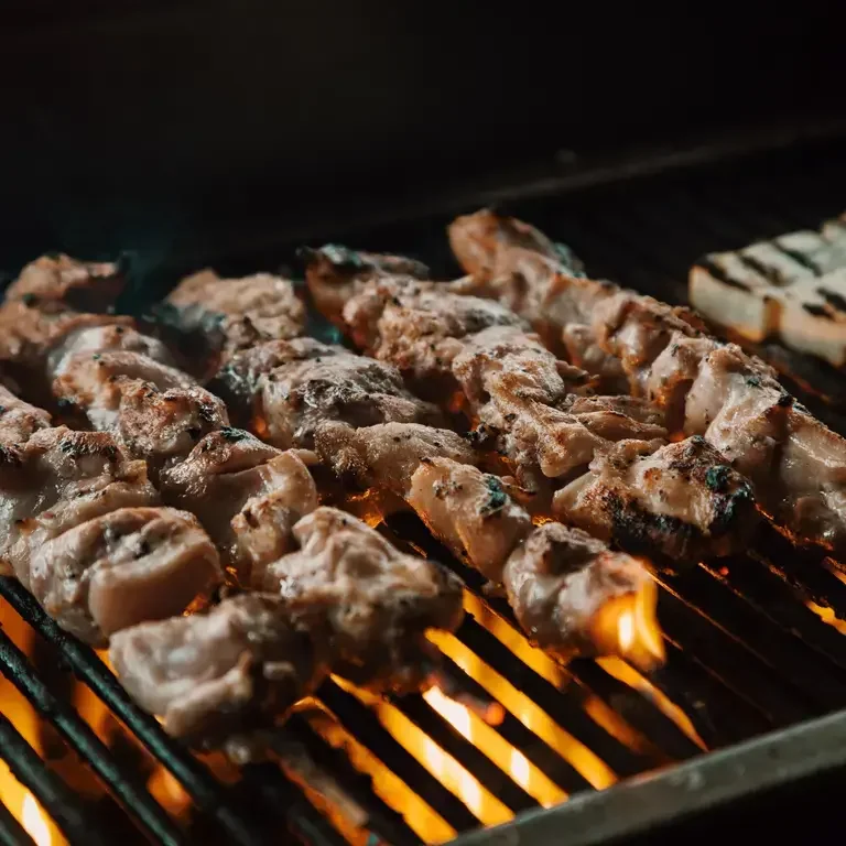 Souvlaki at The Grilling Greek.