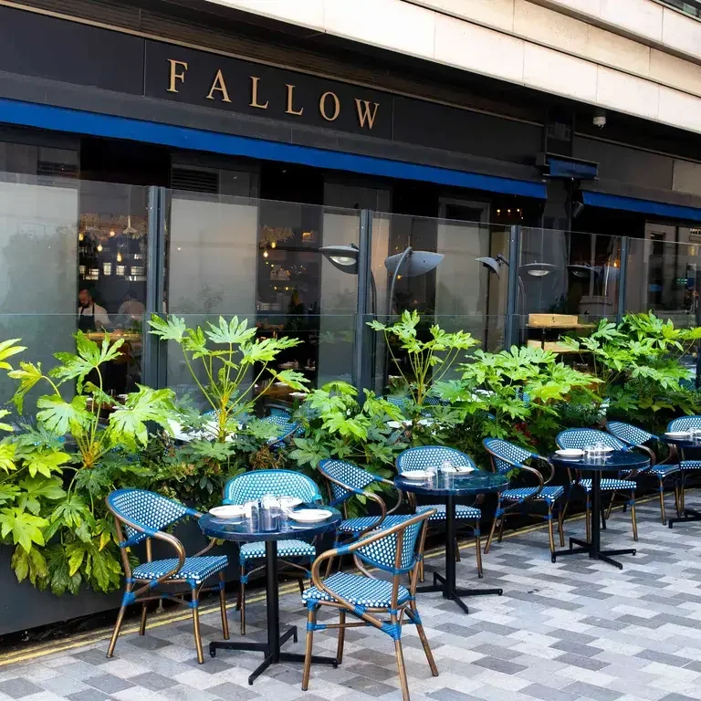 Terrace at Fallow on Haymarket.