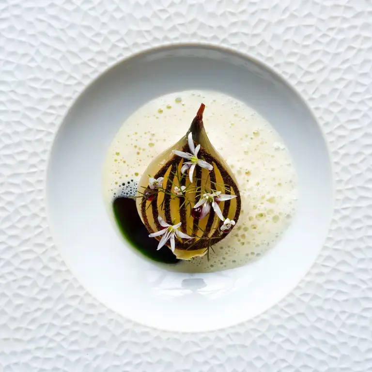 Roscoff onion, wild garlic, and curds and whey at Northcote.