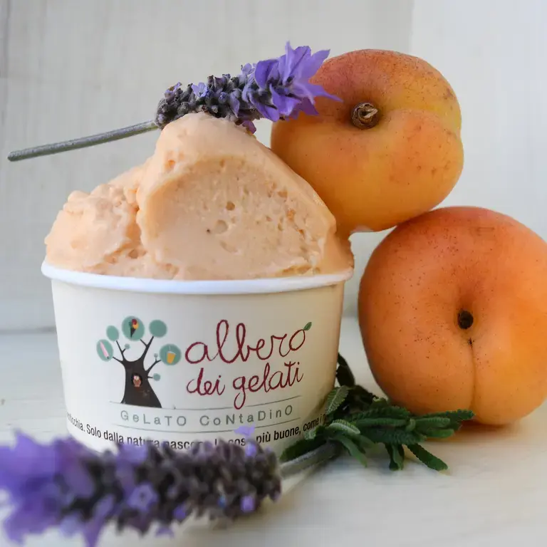 Apricot and lavender gelato at L'Albero dei Gelati.