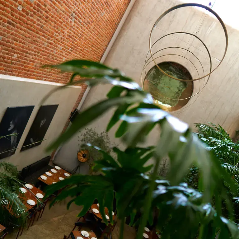 Interior of Blanco Colima in Mexico City.