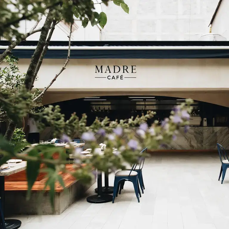 Outdoor terrace at Madre Café in Mexico City.