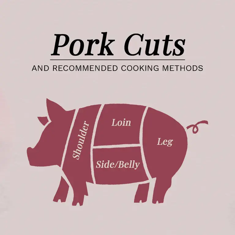 pork-cuts-and-recommended-cooking-methods-infographic