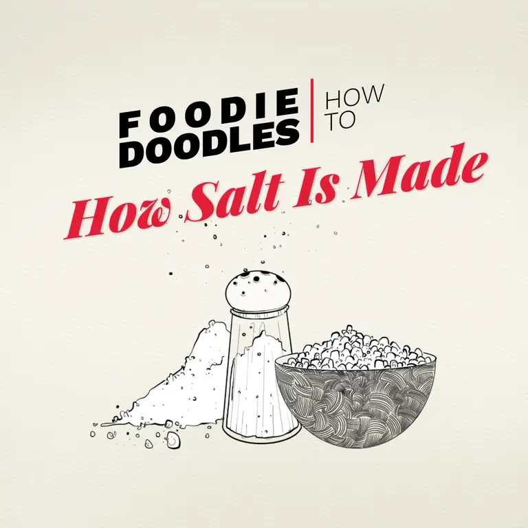 Infographic about how salt is produced