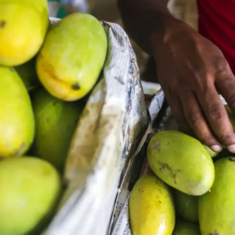 Original_10357_mango-finedininglovers-TP