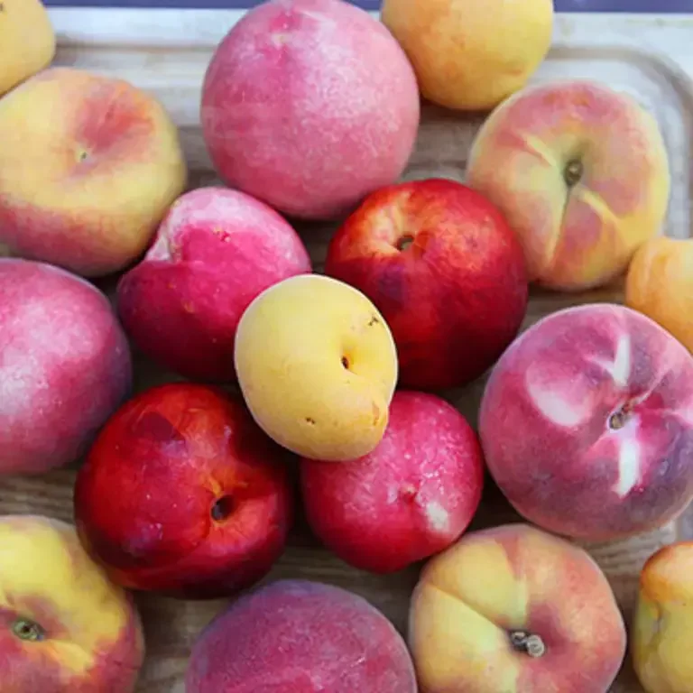 10 Fruit Hybrids Worth Recognising