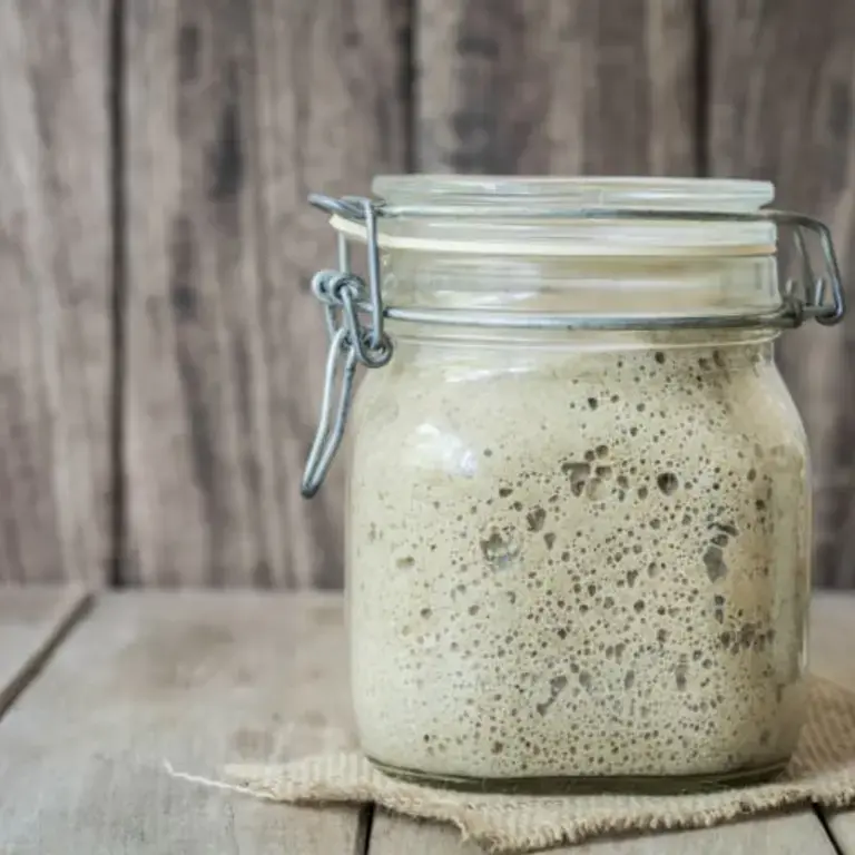 Sourdough Mother Dough