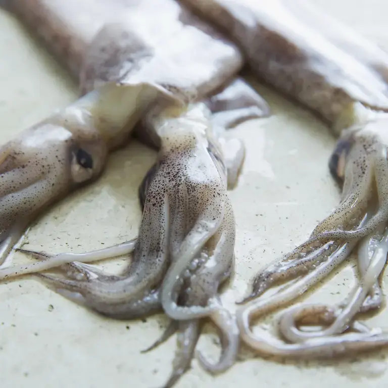 Squid Recipes:  10 Tempting Ways of Cooking with Squid