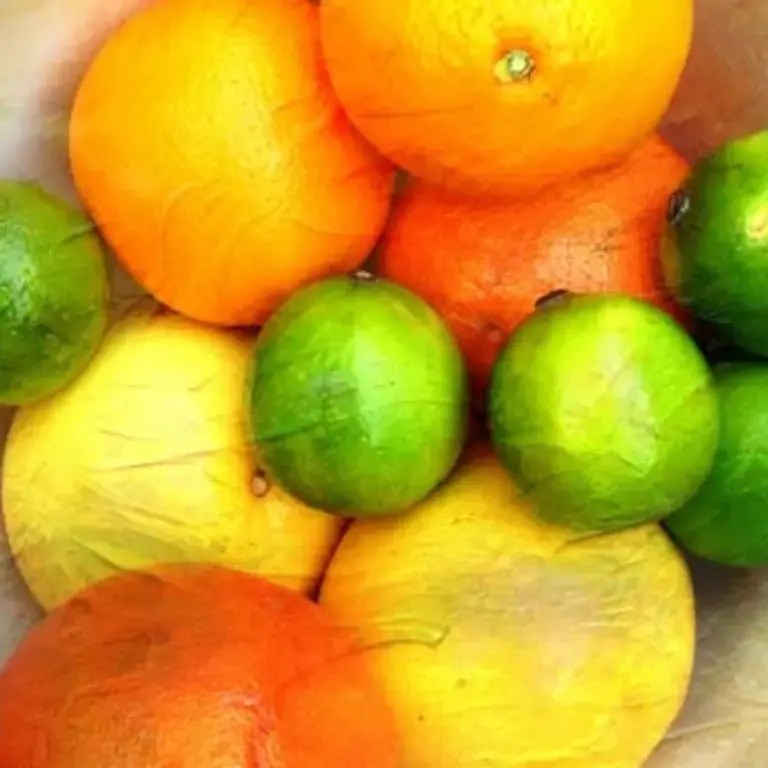 Unusual Citrus Fruits: 10 Citrus Worth Experimenting With in the Kitchen