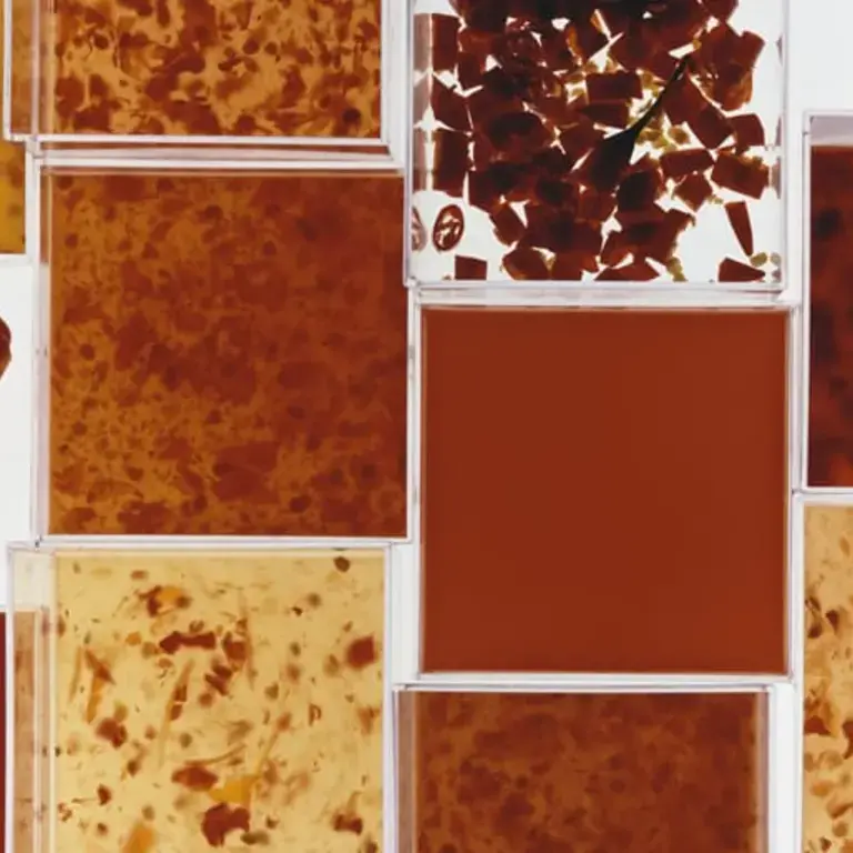 Mother and Daughter: the Extended Family of Sauces