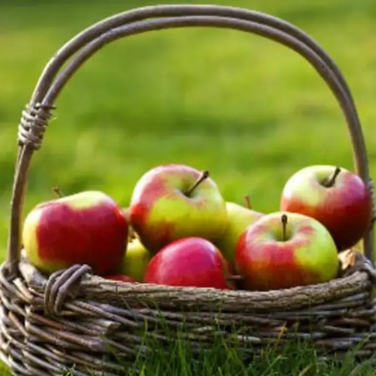 What's in Season in September?