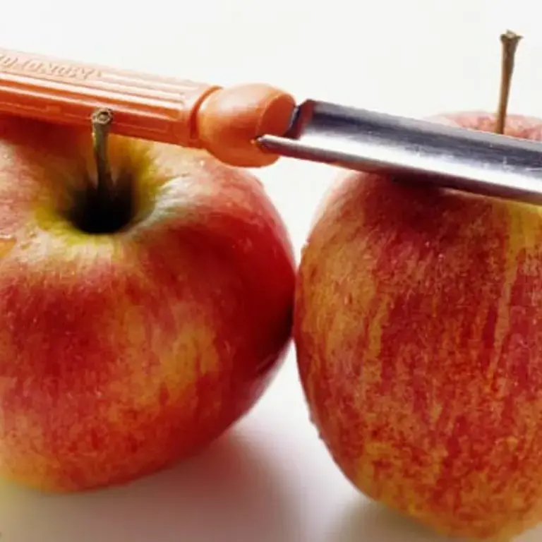 Baking Basics: How To Core An Apple Effortlessly