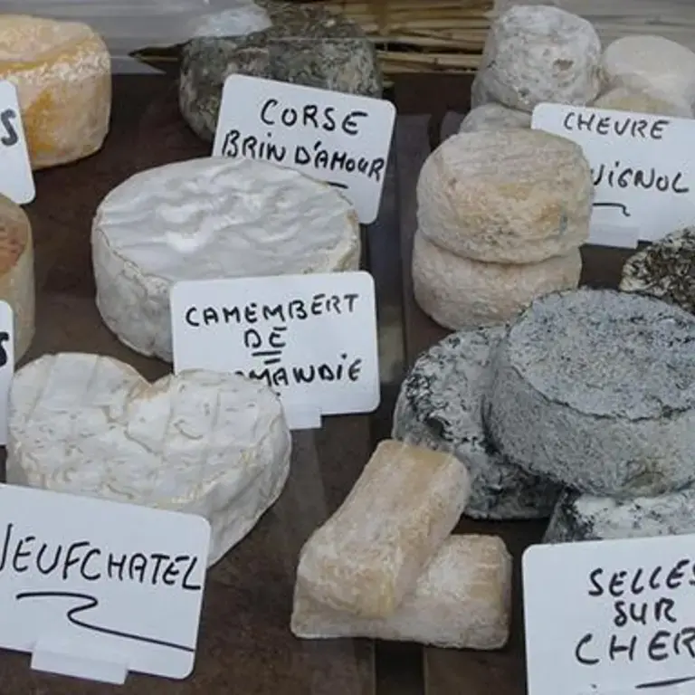40 Iconic French Cheeses Mapped
