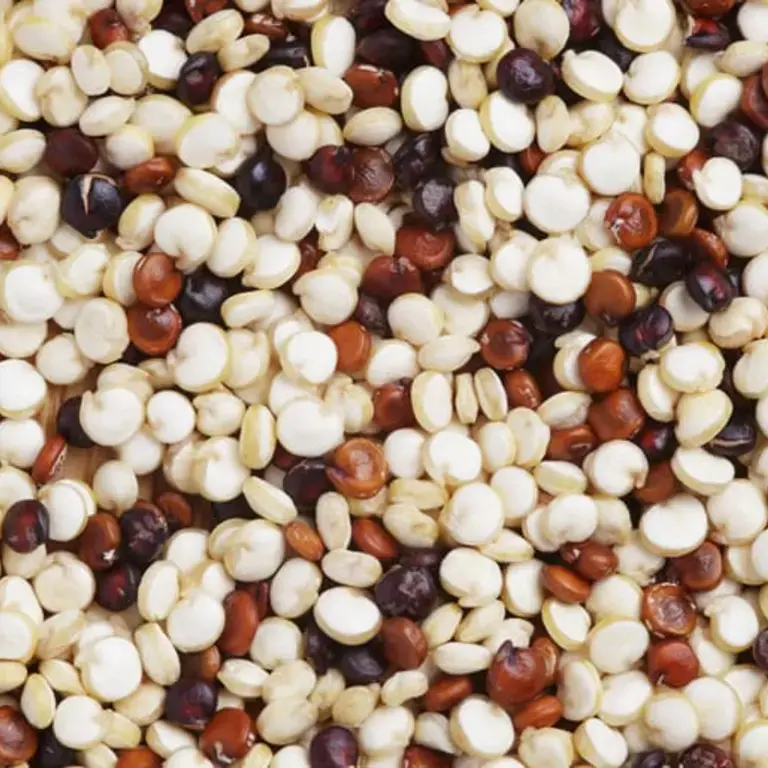 Ancient Grains from A to Z: 26 Things to Know
