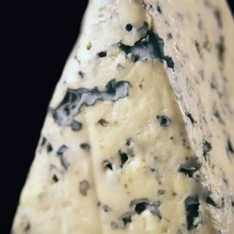 10 European Blue Cheeses You Need To Try