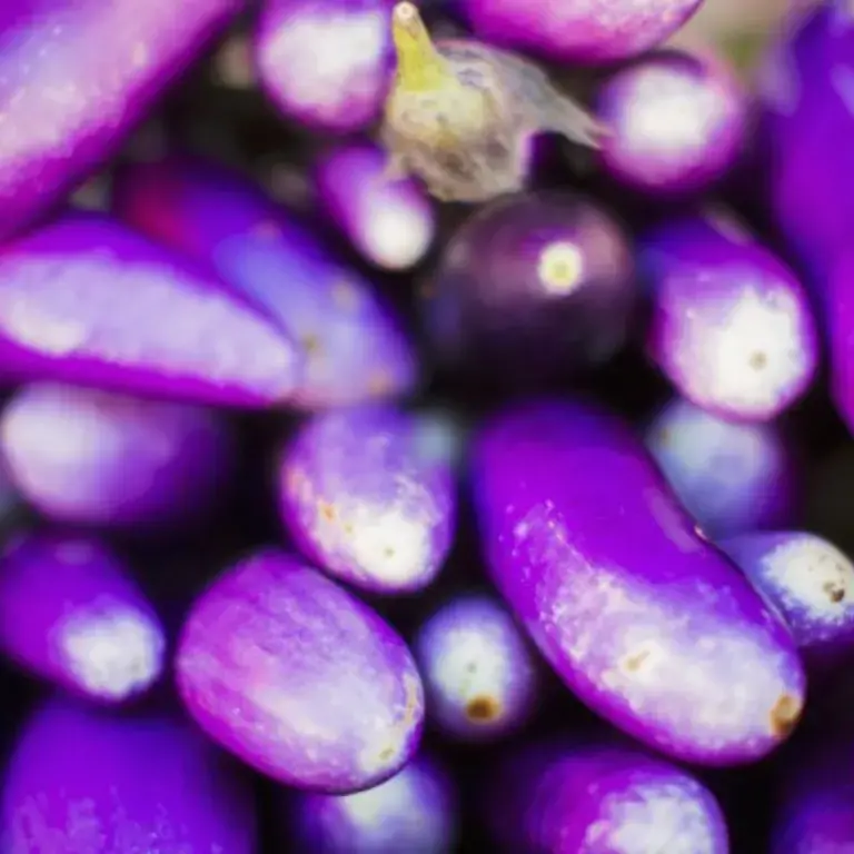 How Do I Cook Japanese Eggplant? Try These Tasty Recipes