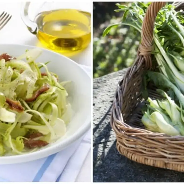 How to Eat Puntarelle: The Roman Delicacy