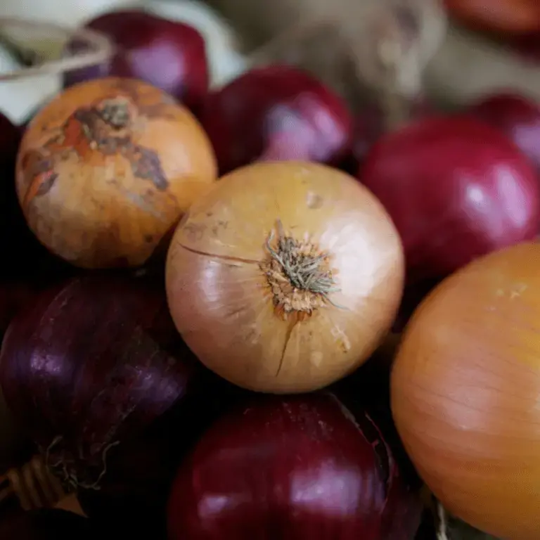 Different Types of Onions