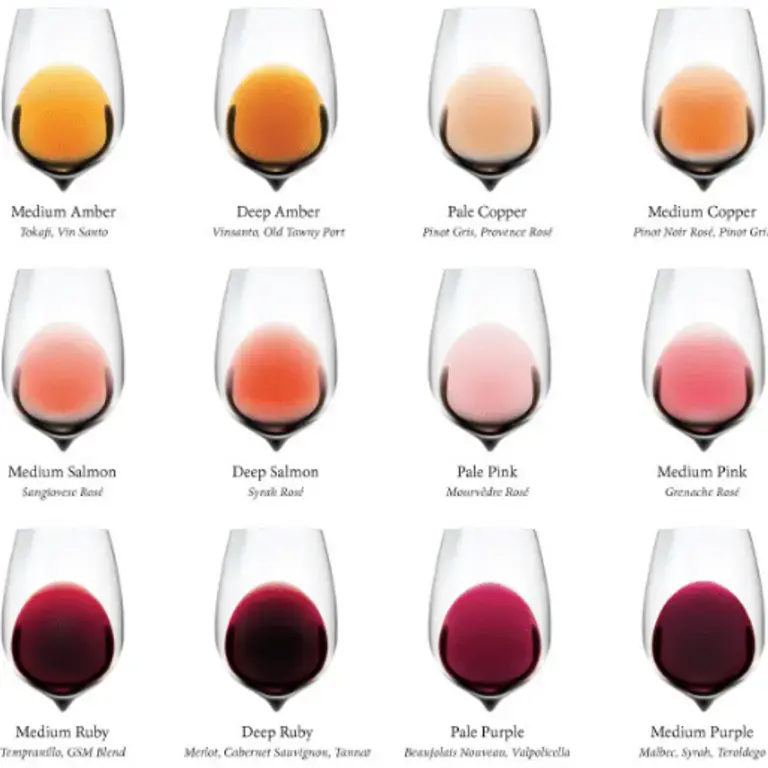 Sound Like a Pro with This Wine Colour Chart
