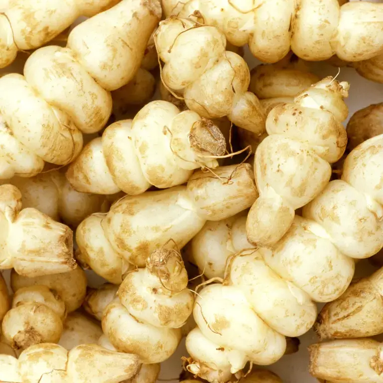 Chinese Artichoke: How to Cook this Delicate Tuber