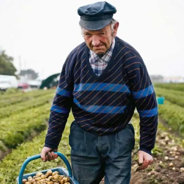 Original_169_bonnotte-251-TP