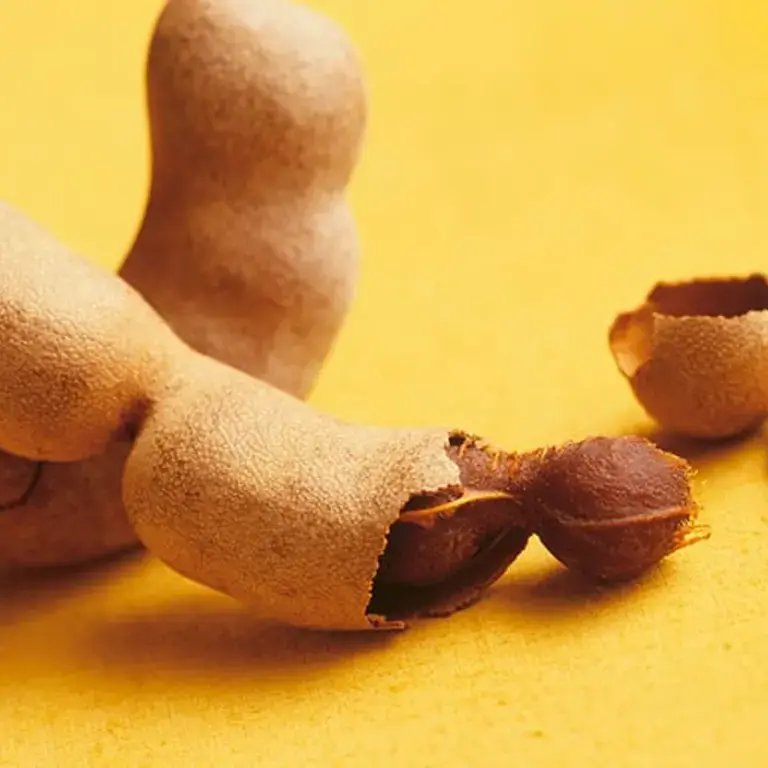 Tamarind from A to Z: 26 Things to Know