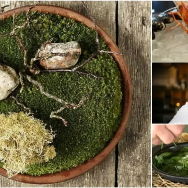 7 Iconic Dishes From René Redzepi