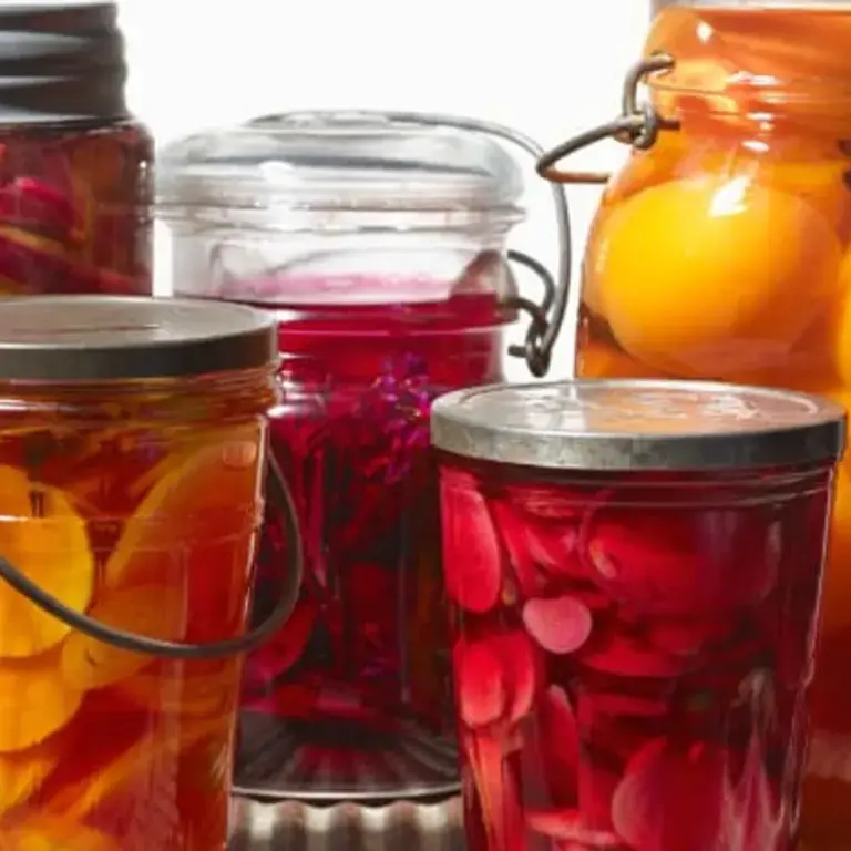 How To Preserve Food | Methods And Techniques