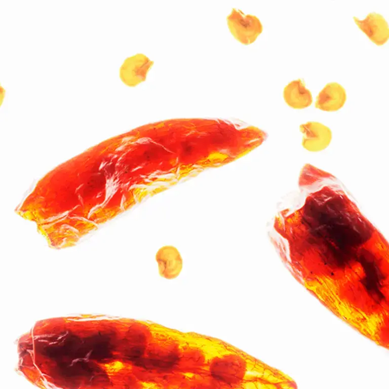 Food mythbusters: Deseeding chilies means less heat?