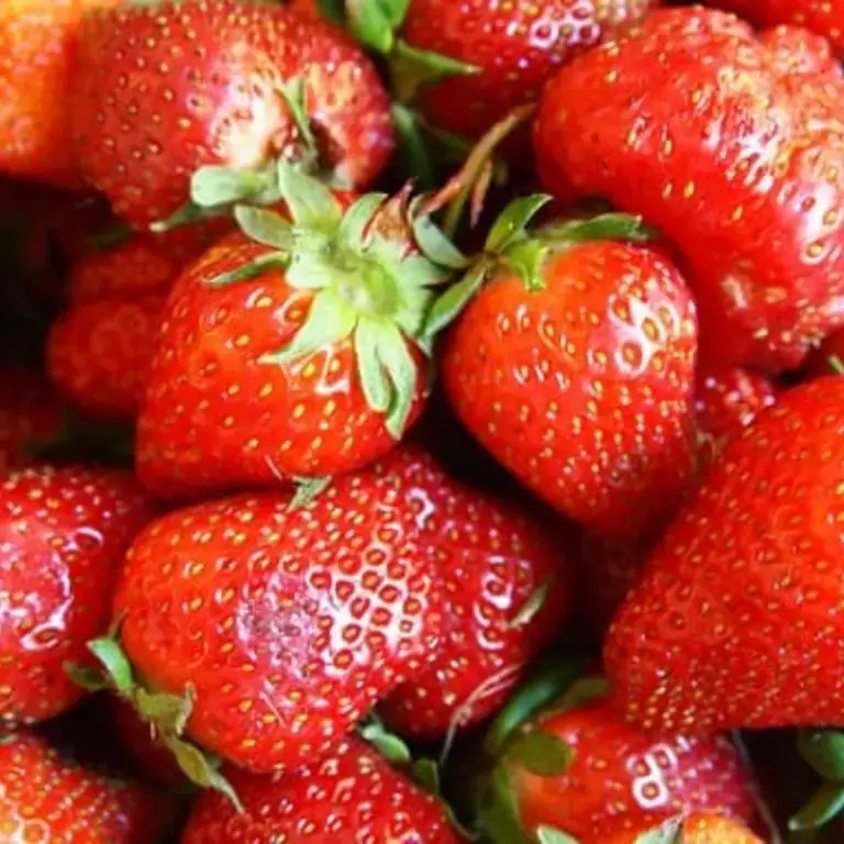 Food Preservation Methods: How to Preserve Strawberries