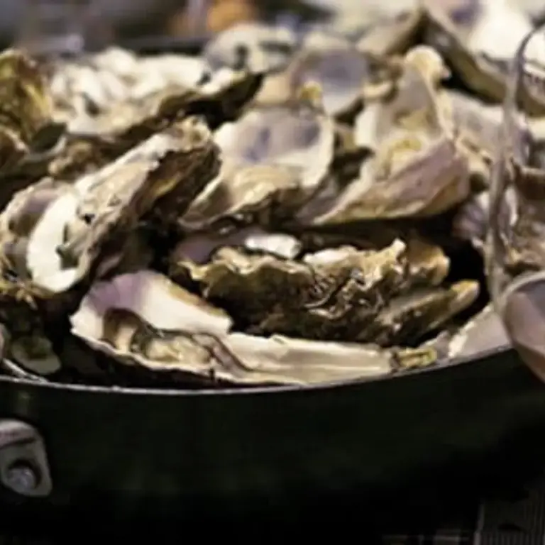 Aphrodisiac Food: the Top Ten List of Sexy Dishes