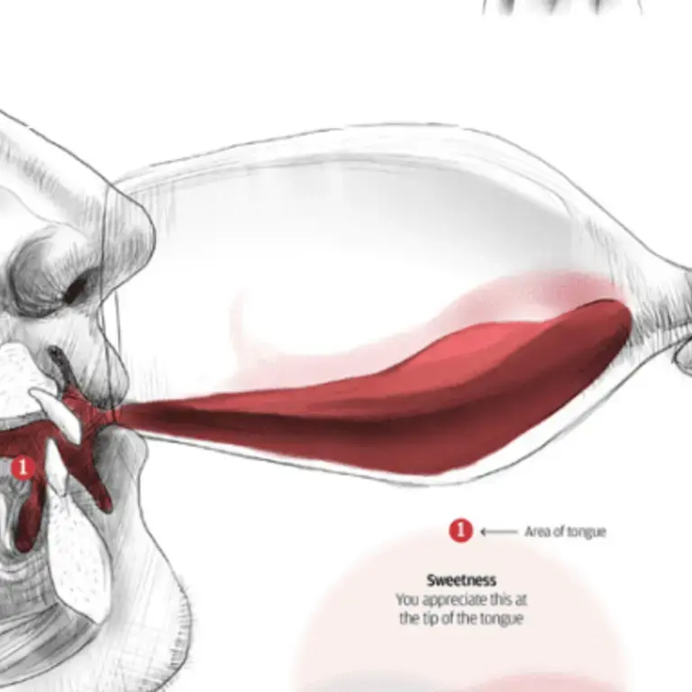 How to Taste Wine Like a Pro