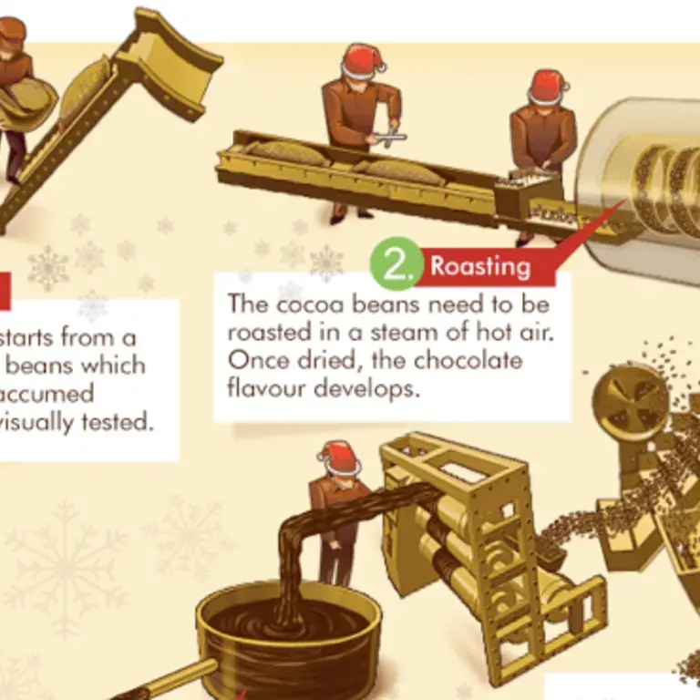 The 13 Steps of Chocolate Production