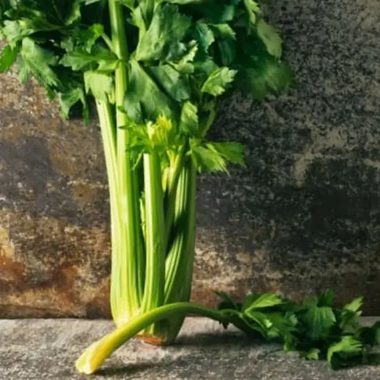 16 Fruits And Vegetables You Can Regrow At Home