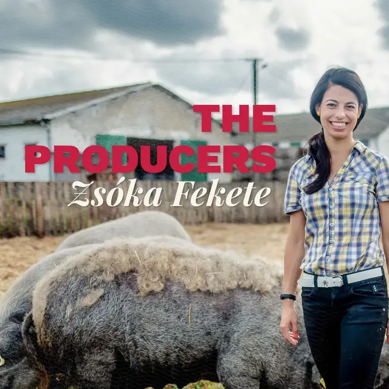 A woman standing next to pigs.
