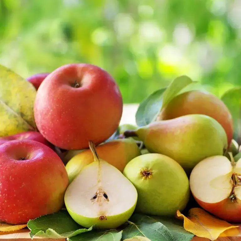 apples and pears ©iStock