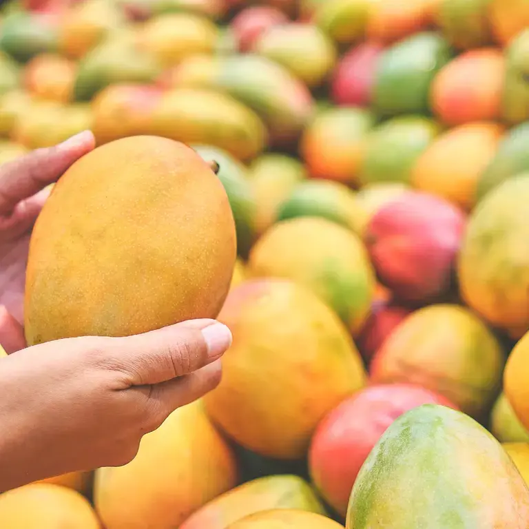 best-mango-varieties