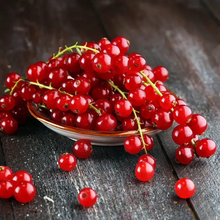 currants